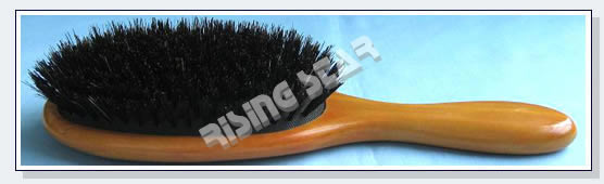 animal hair brush